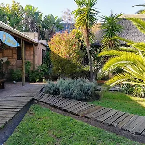 Saltycrax Backpackers And Surf Hostel Bloubergstrand