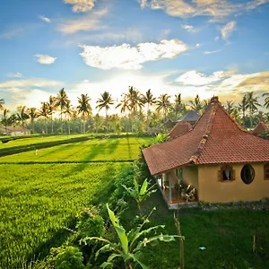 Dragonfly Village Ubud